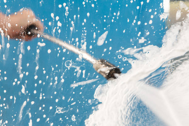 Animal Enclosure Cleaning in Thornton, CO
