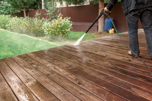 Best Animal Enclosure Cleaning  in Thornton, CO