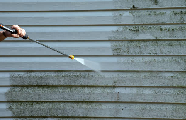 Best Residential Exterior Washing  in Thornton, CO