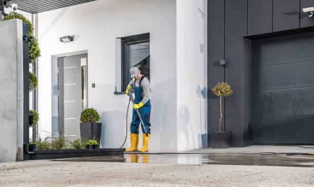 Best Roof Washing  in Thornton, CO
